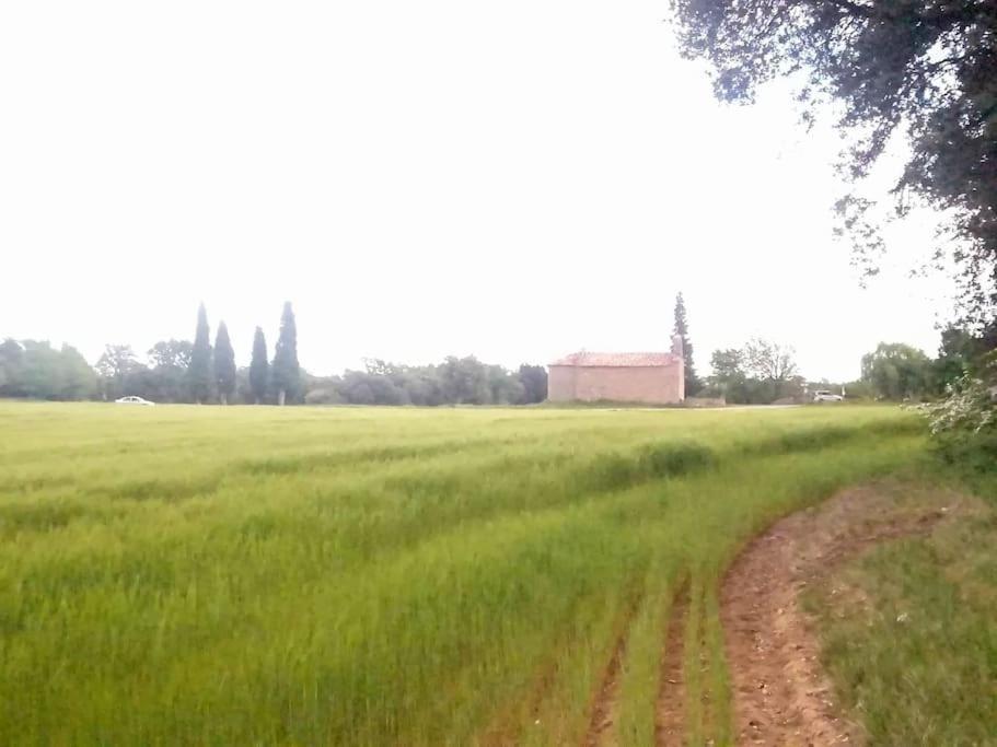 El Niuet De Cal Cacuet, La Teva Escapada Rural. Apartment Avia Ngoại thất bức ảnh